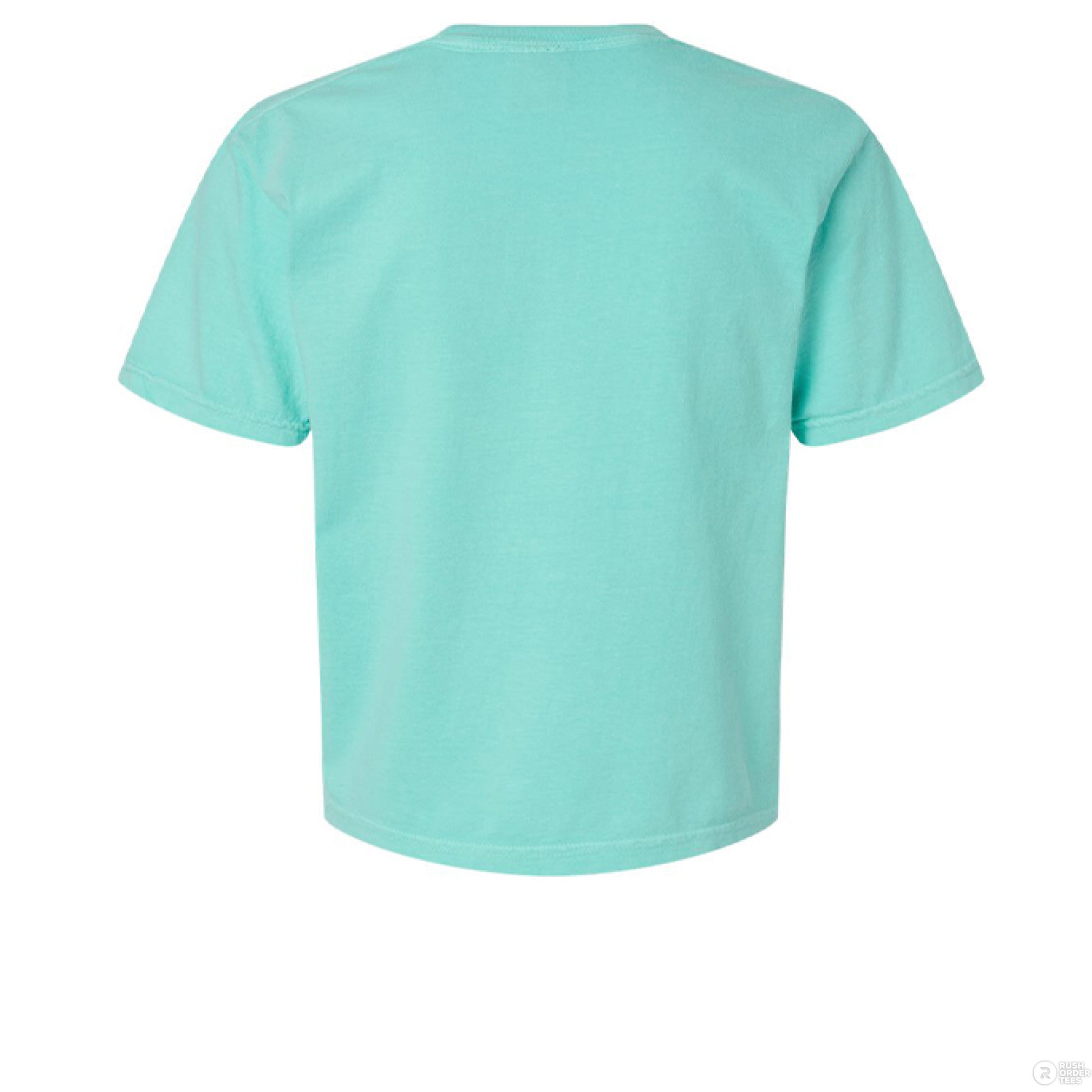 Peace > Drama Product: Comfort Colors 3023CL Women's Heavyweight Boxy T-Shirt - Southern Cameaux