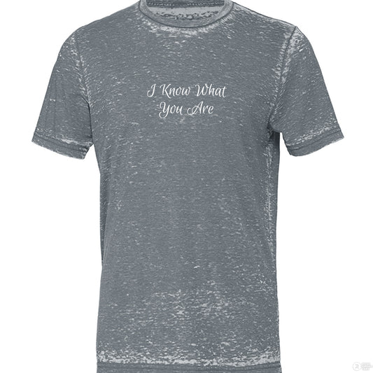 I Know What You Are Canvas 3650 Unisex Poly-Cotton Short-Sleeve T-Shirt - Southern Cameaux